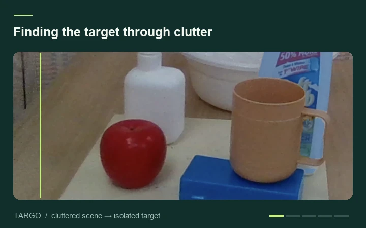 TARGO and TARGO-Net: Benchmarking Target-driven Object Grasping under Occlusions — research demo